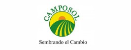 CAMPO SOL